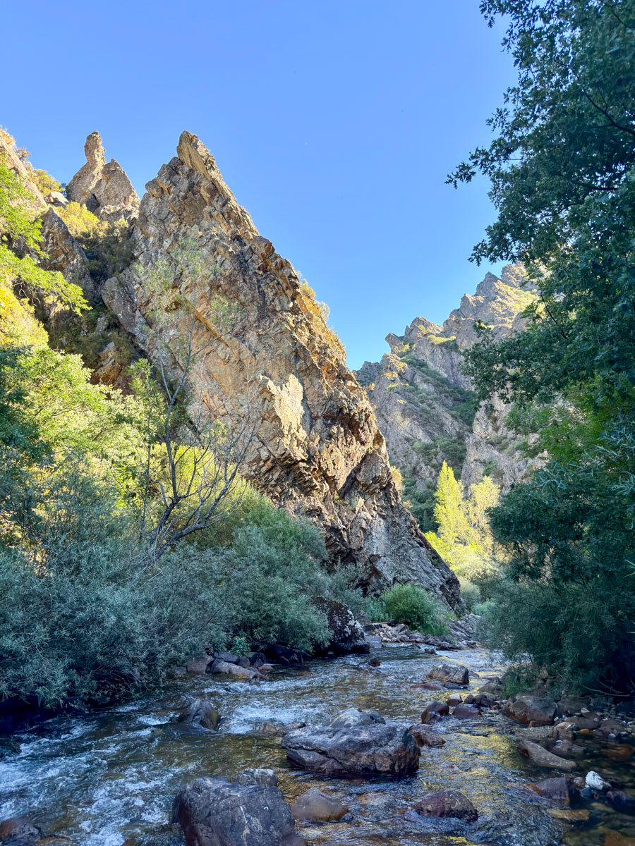 Rio Curueno