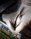 The Feather Bender's Advanced Flytying Techniques