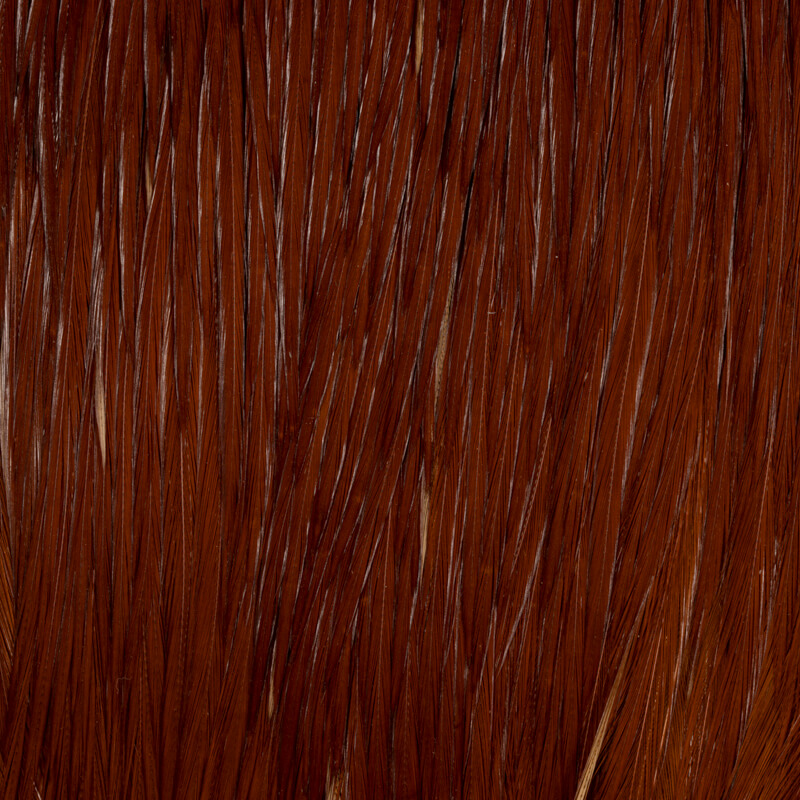 Root River Cape Brown