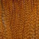 Root River Cape Dark Barred Ginger