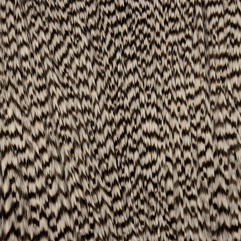 Root River Cape Grizzly
