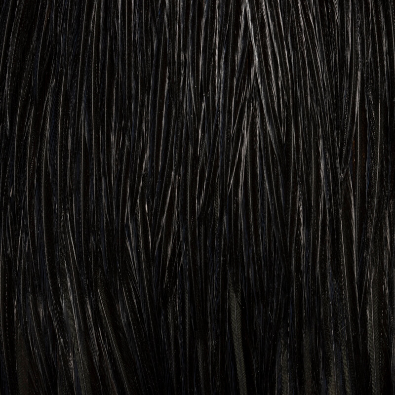 Root River Half Cape Black