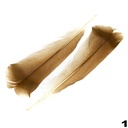 Turkey Feathers 2pcs