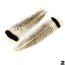 Turkey Feathers 2pcs