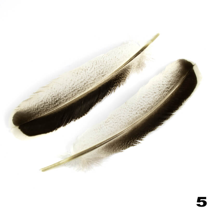 Turkey Feathers 2pcs