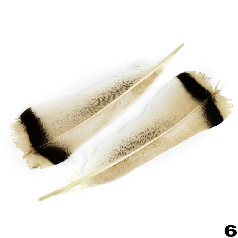 Turkey Feathers 2pcs
