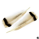 Turkey Feathers 2pcs