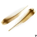 Turkey Feathers 2pcs