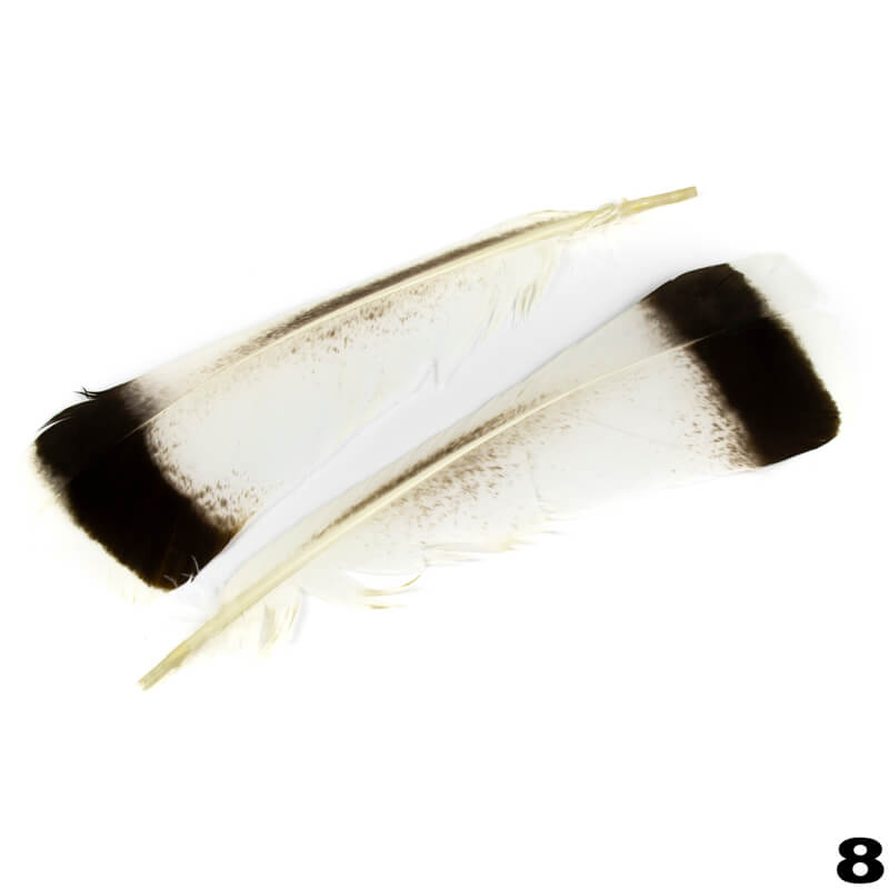Turkey Feathers 2pcs