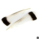 Turkey Feathers 2pcs