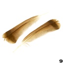 Turkey Feathers 2pcs