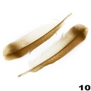 Turkey Feathers 2pcs