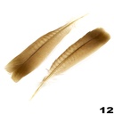Turkey Feathers 2pcs
