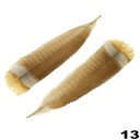 Turkey Feathers 2pcs
