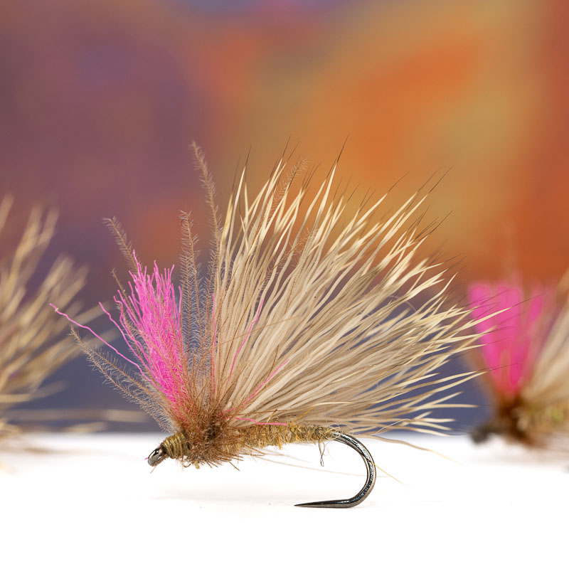 Bostian Jakopic Light Caddis