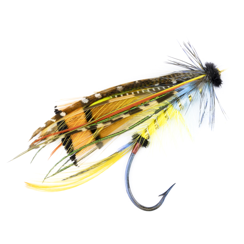 Calzolari Blacker Shannon #6