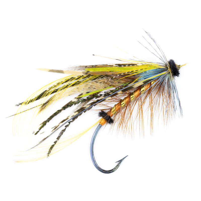 Calzolari Blacker Shannon #7