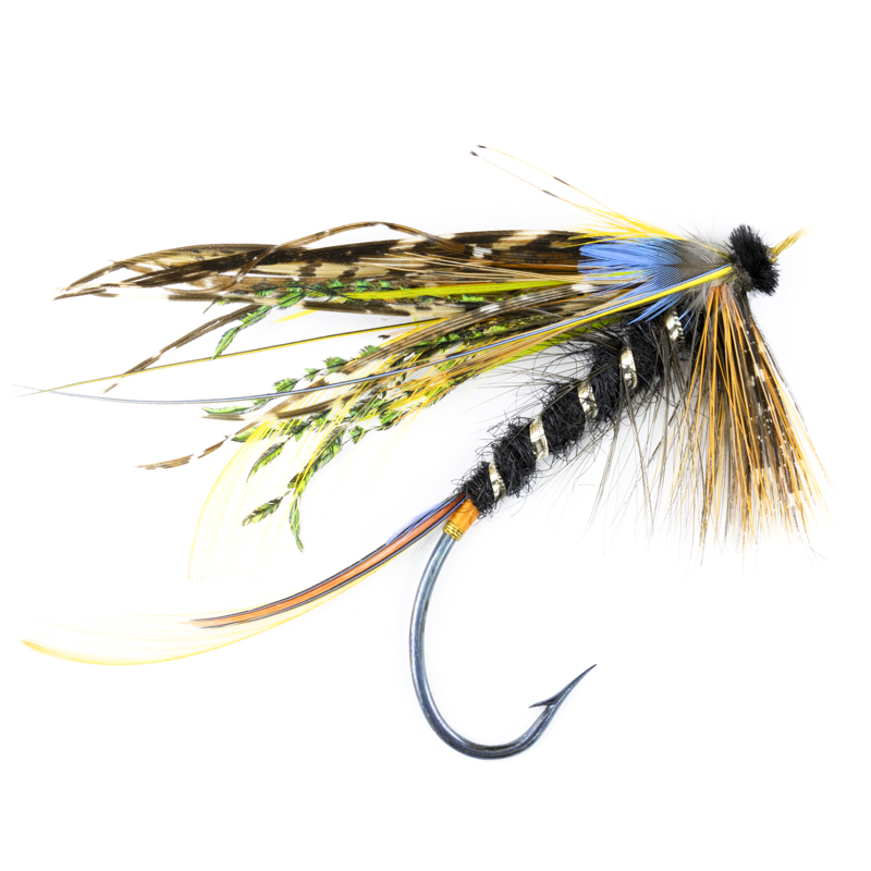 Calzolari Blacker Shannon #8