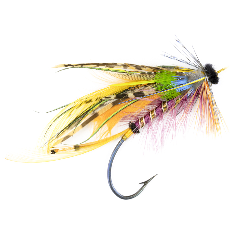 Calzolari Blacker Shannon #9