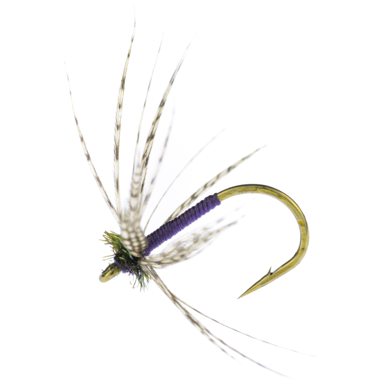 Calzolari Purple Partridge