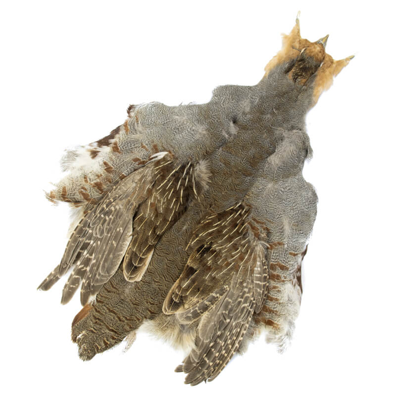 English Partridge Full Skin