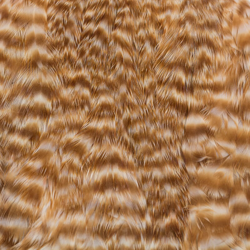 Ewing Hen Cape Grizzly Bleached
