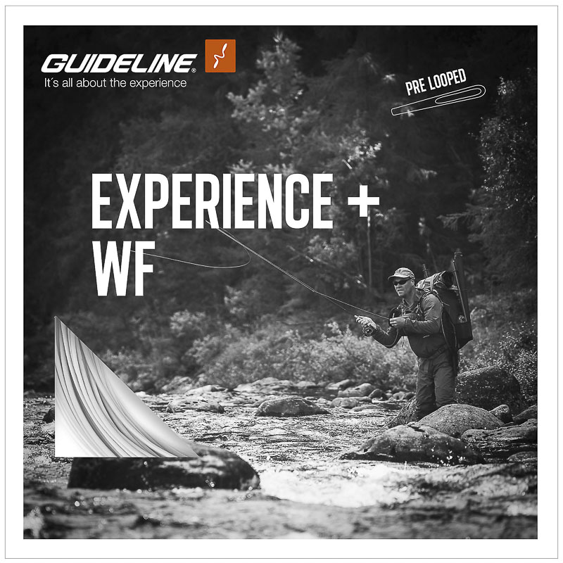 Guideline Coda Experience+ WF