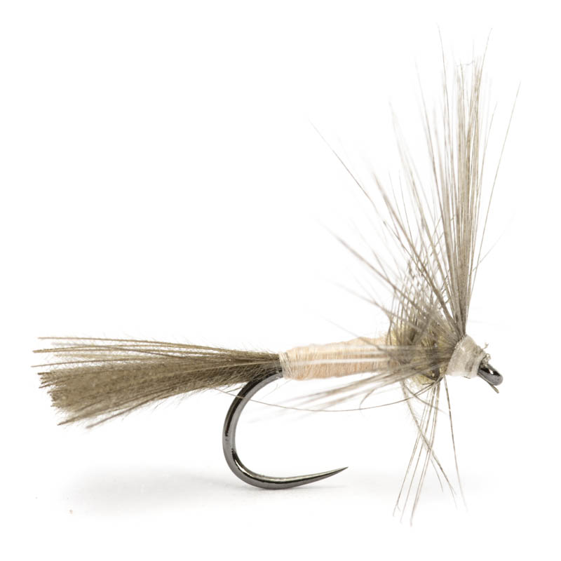 Luis Meana Fly PM18CNREX