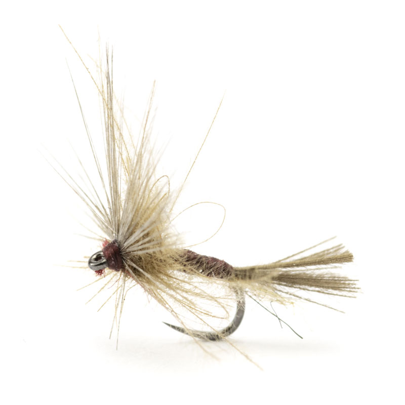 Luis Meana Fly PME18FX