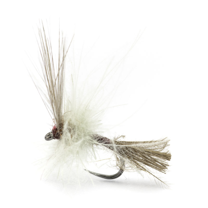 Luis Meana Fly PME18FXBD