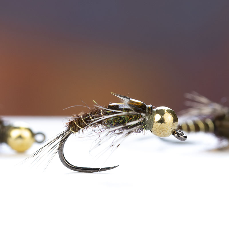 Nymph TTN16
