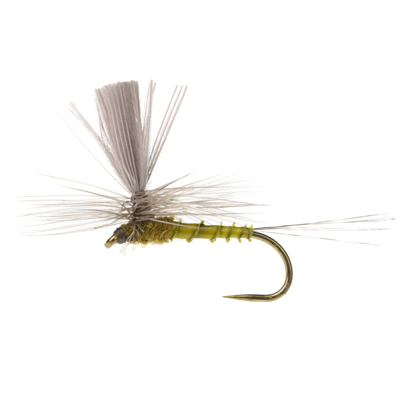 Parachute Olive Dun
