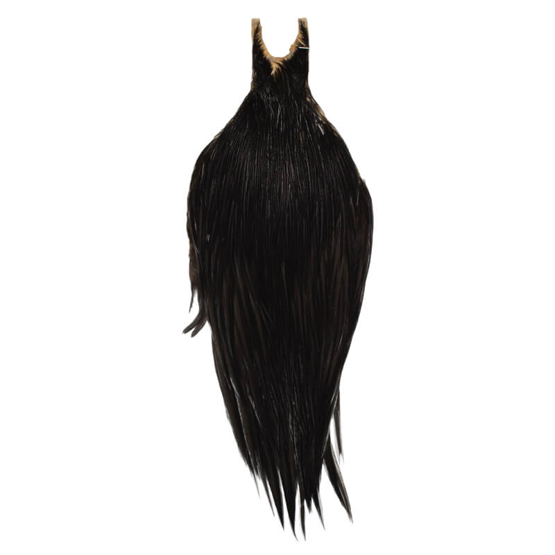 Root River Cape Black
