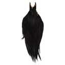 Root River Cape Black