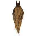 Root River Cape Golden Badger