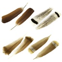 Piume di Tacchino 2pcs
