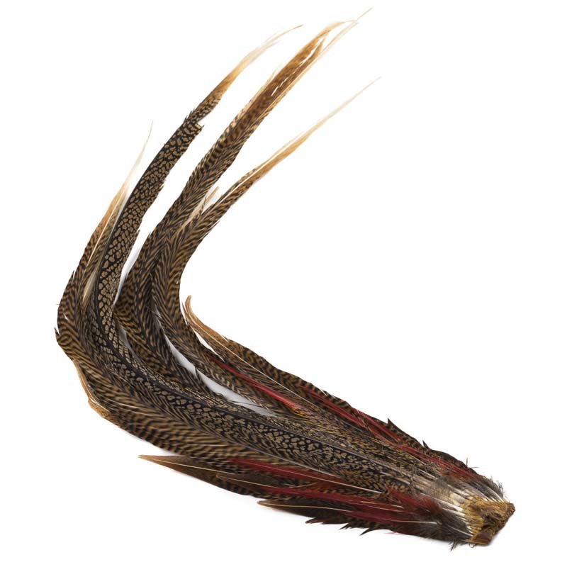 Veniard Golden Pheasant Coda Completa