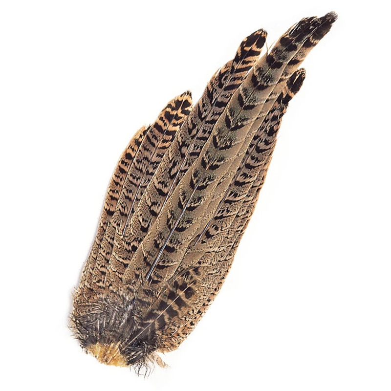 Veniard Hen Pheasant Complete Tail