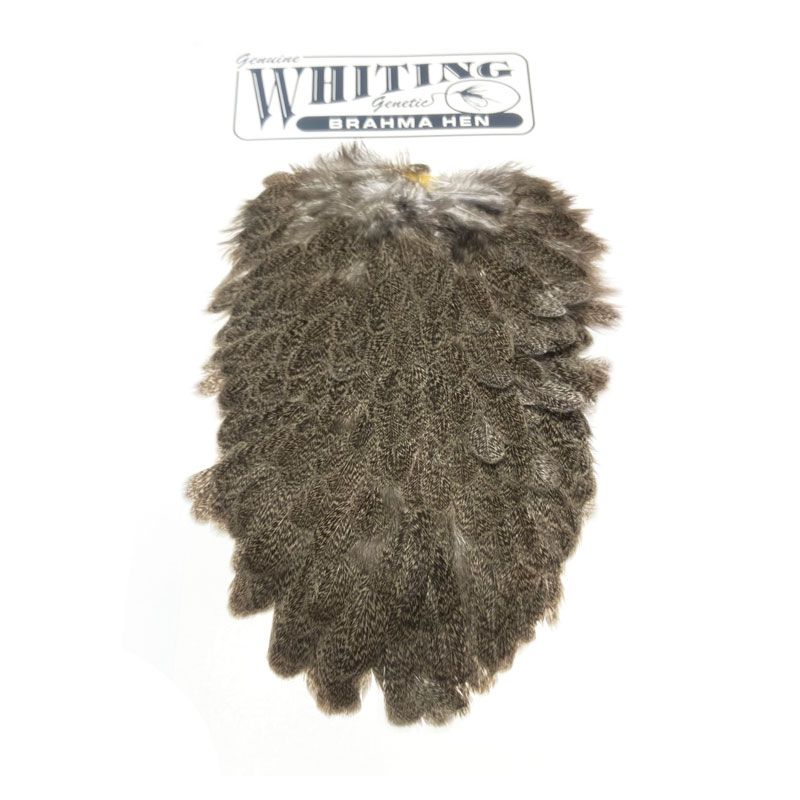 Whiting Brahma Hen Saddle