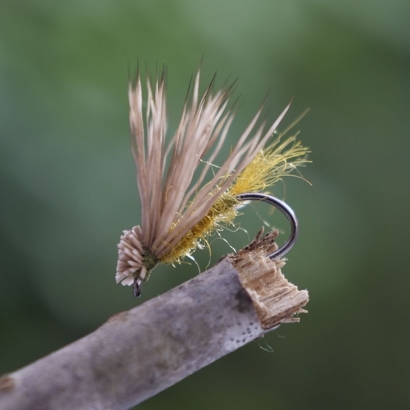 MBB X-Caddis