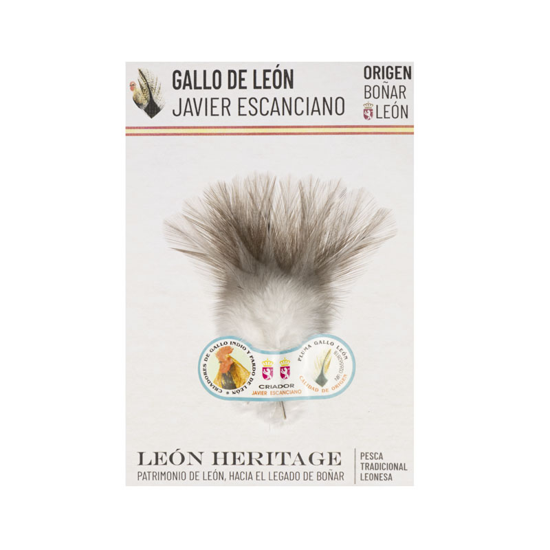 Gallo de Leon Indio (Coq de Leon)