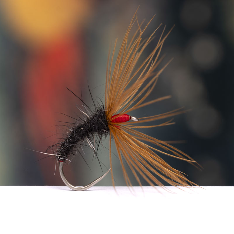 Sakasa Kebari Red Hen