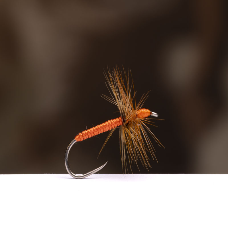 Menghini Orange Stiff Hackles Kebari