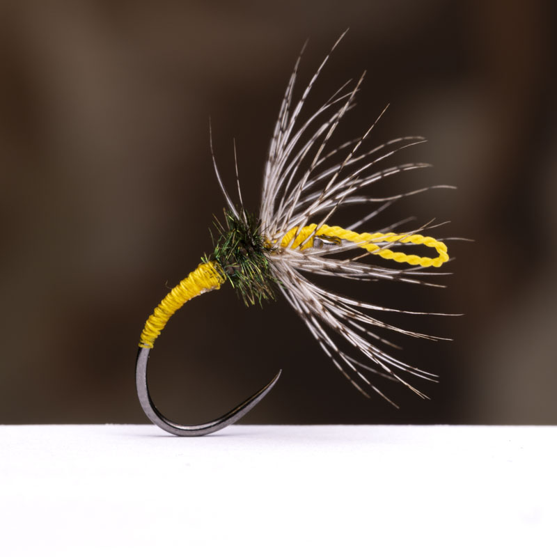 Menghini Yellow Loop Eye Kebari