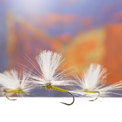 Bostian Jakopic Olive Parachute