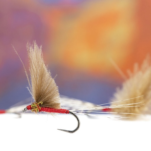 Bostian Jakopic Red CDC