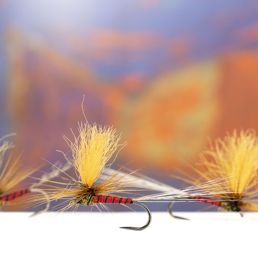 Bostian Jakopic Red Parachute
