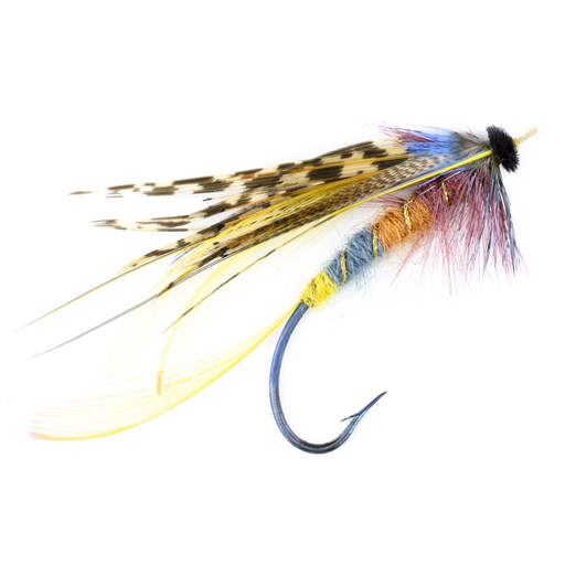 [cal-blk-shn-1] Calzolari Blacker Shannon #1