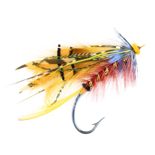 [cal-blk-shn-10] Calzolari Blacker Shannon #10