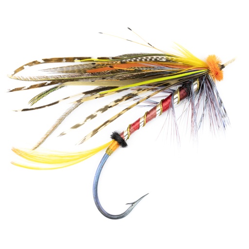 [cal-blk-shn-11] Calzolari Blacker Shannon #11